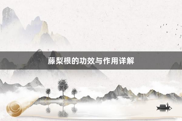 藤梨根的功效与作用详解